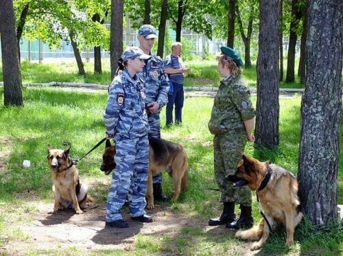 На Камчатке нашли пропавшего ребенка