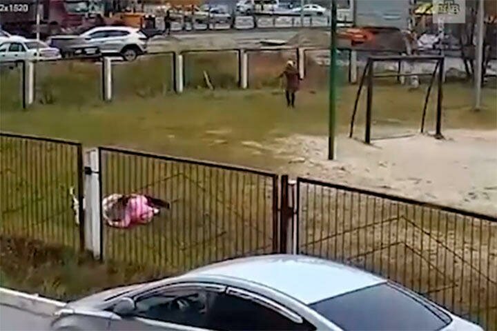 Нападение собаки во дворе школы