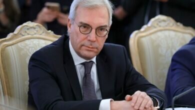 Замглавы МИД РФ Александр Грушко