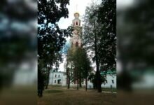 Новодевичий