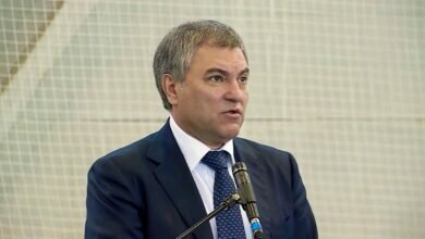 Володин