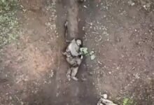 Солдата закидывают гранатами