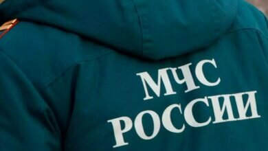 МЧС РФ
