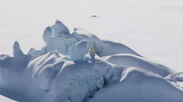 Лед в Антарктиде