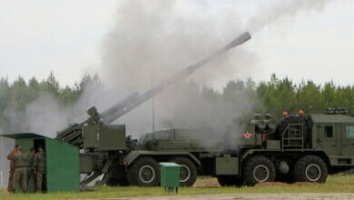 САО 2С43 Мальва