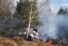 Девушка тушит лесной пожар