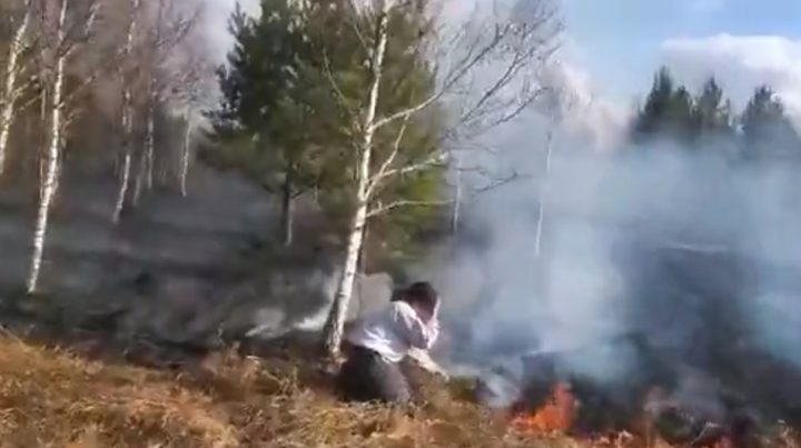 Девушка тушит лесной пожар