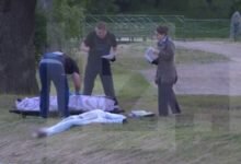 Происшествие на пруду