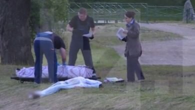 Происшествие на пруду