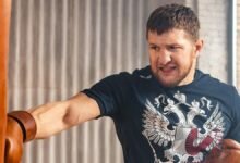 Владимир Минеев