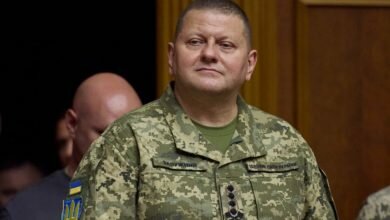 Валерий Залужный