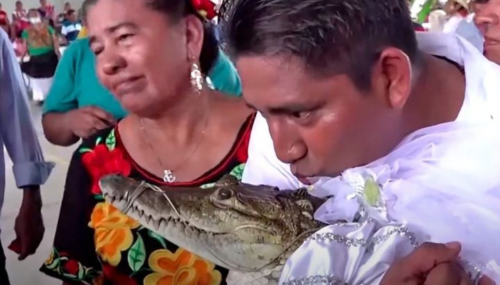 Виктор Уго Соса женился на самке аллигатора