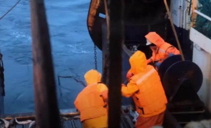 Правительство РФ запретило Британии вылавливать рыбу в Баренцевом море